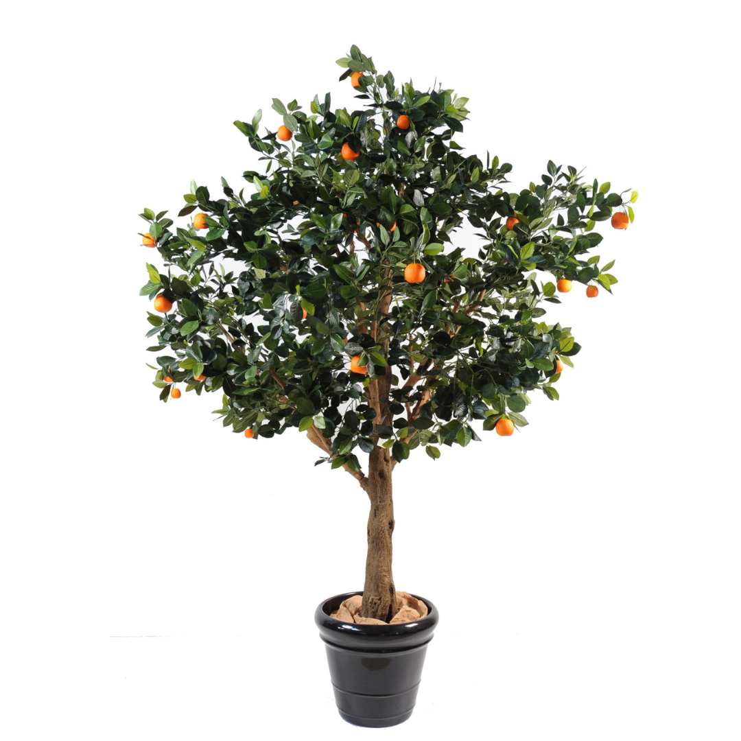 ORANGE TREE