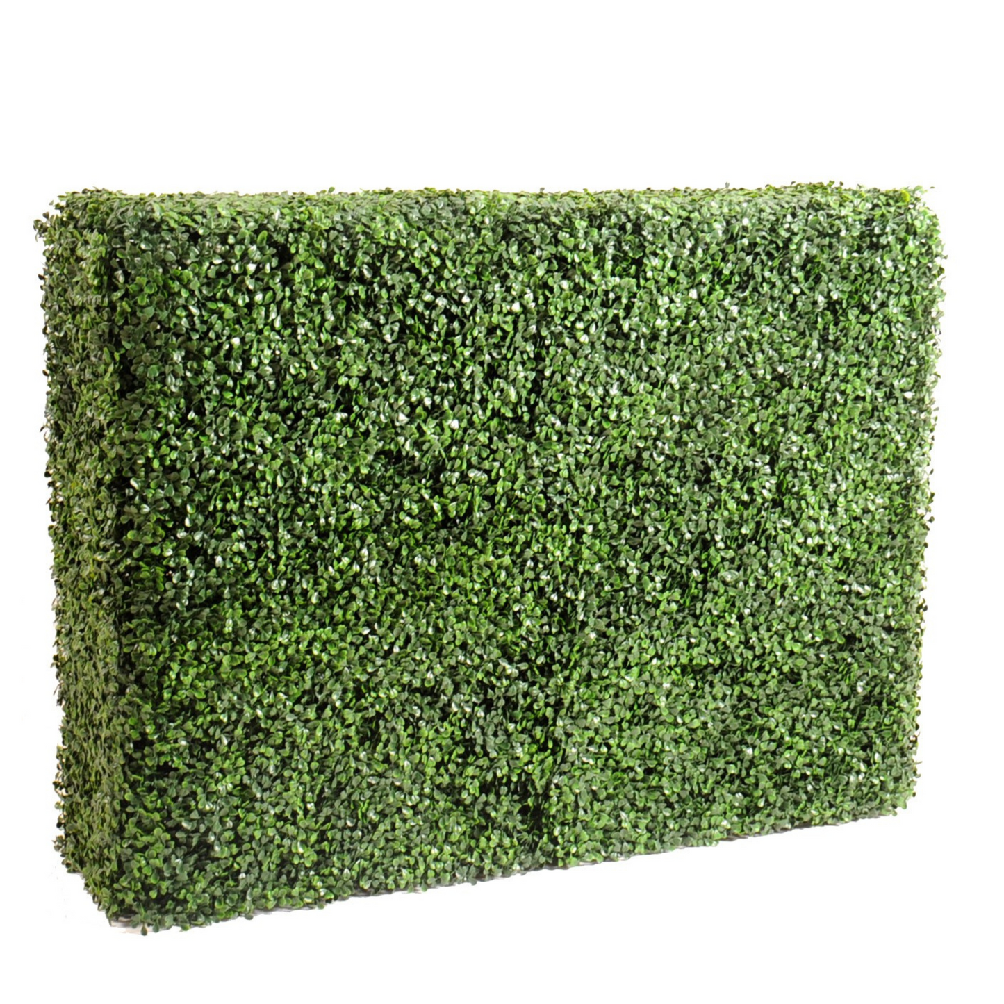 Artificial Boxwood