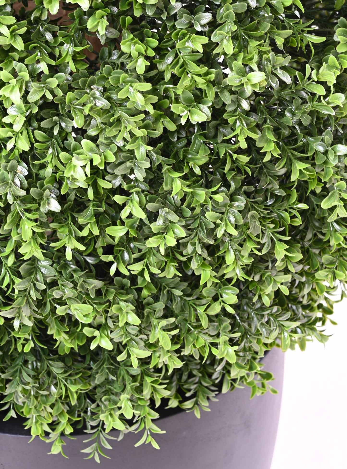 Boxwood Ball 90cm
