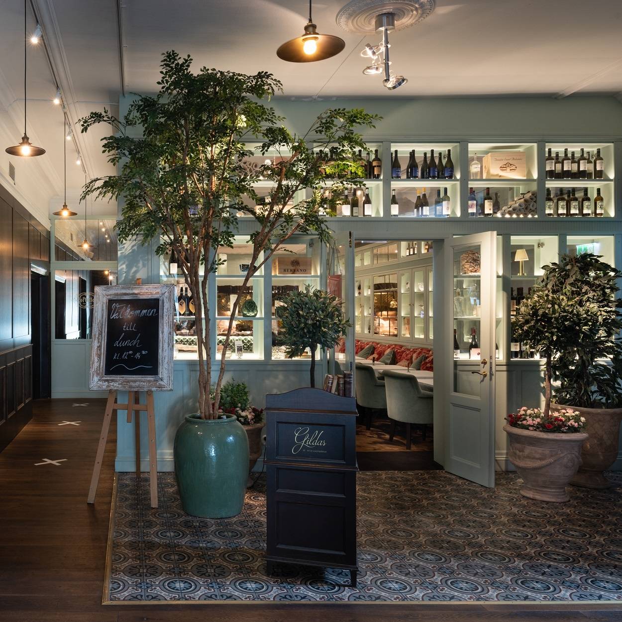 Bucida tree luxury 330cm