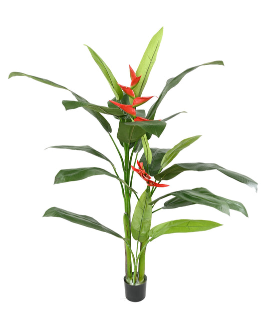 Heliconia 180 cm