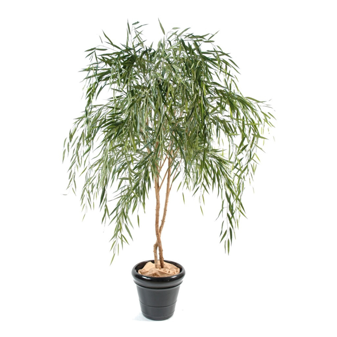 WILLOW 210cm