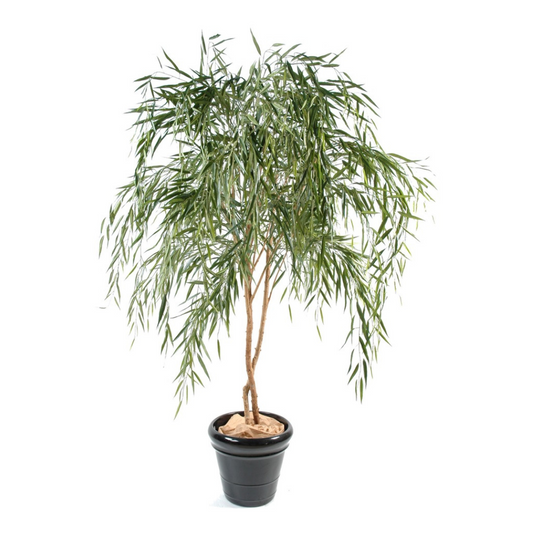 WILLOW 210cm