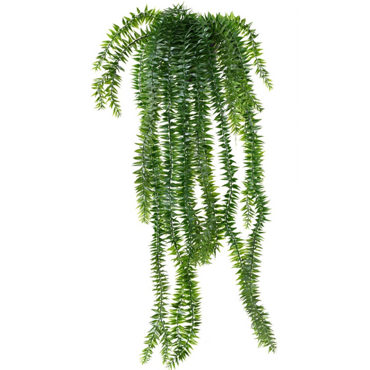LYCOPODIUM DROPS 70 POT