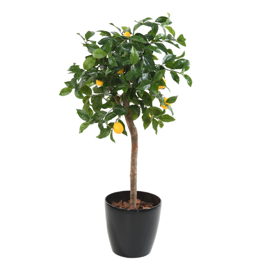 LEMON HEAD 110cm