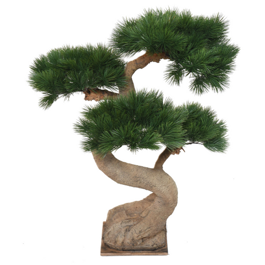 Bonsai mänd 92 cm