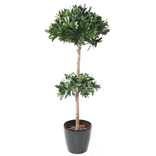 LAUREL DOUBLE UV BALL STEM 170cm