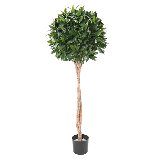 Laurel Ball Stem