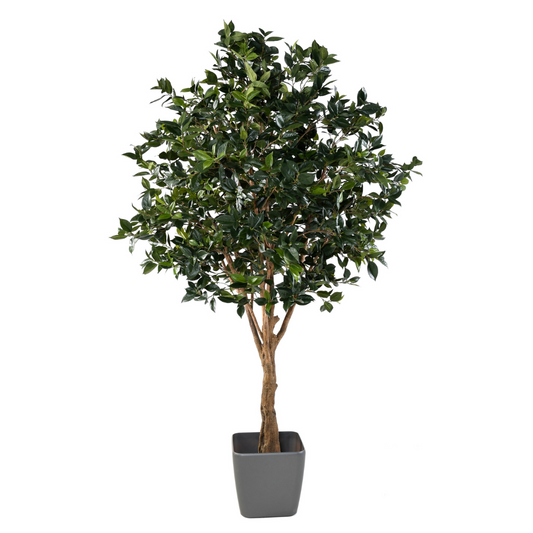 Fruit Tree 280cm