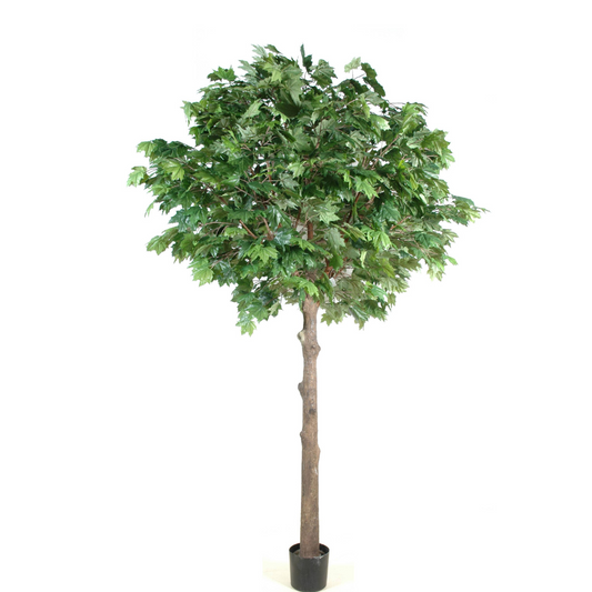 Sycamore artificiel head 260cm