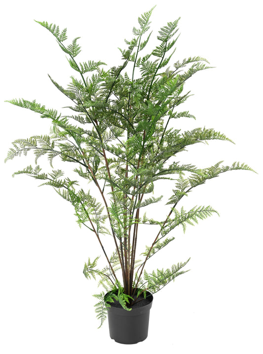 Fern 110 cm
