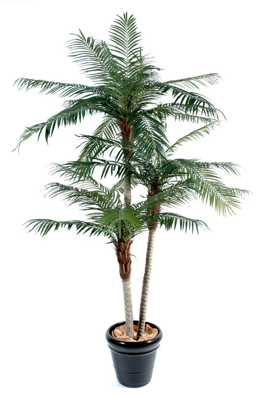 225 cm green artificial phoenix