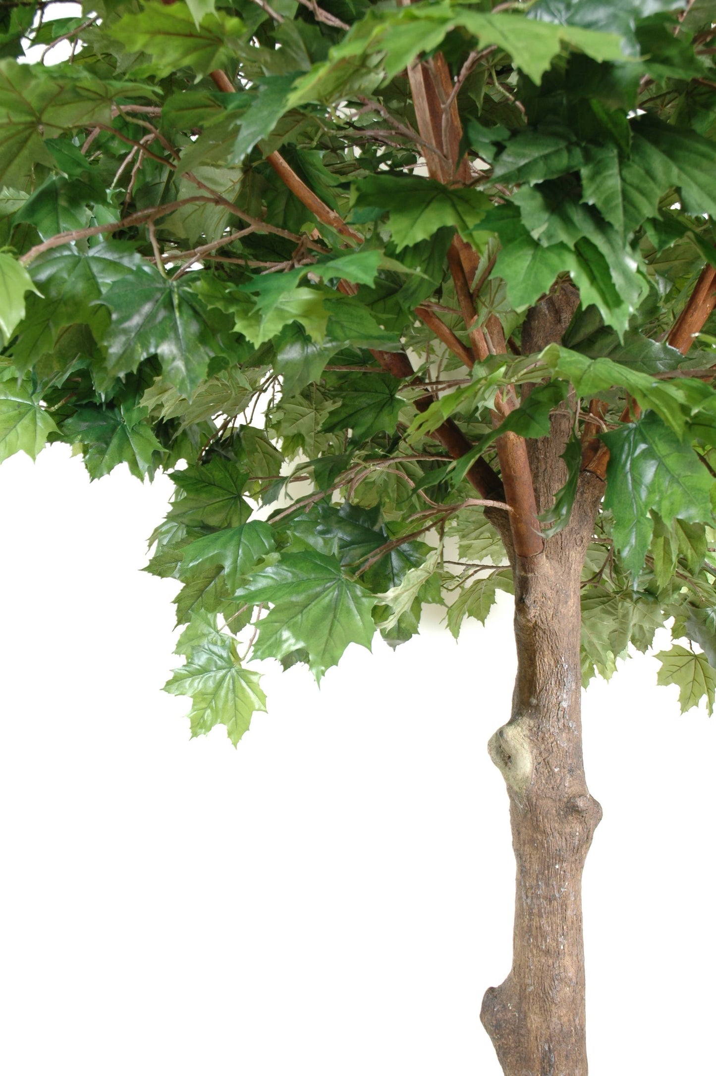 Sycamore artificiel head 260cm
